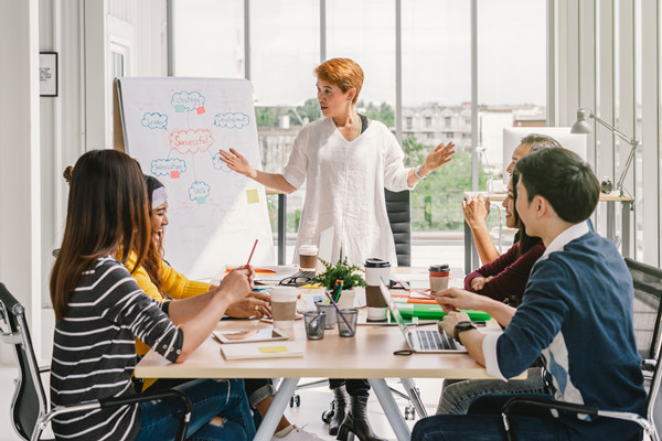 集團管控中的組織結構優化：原則、方法與實踐