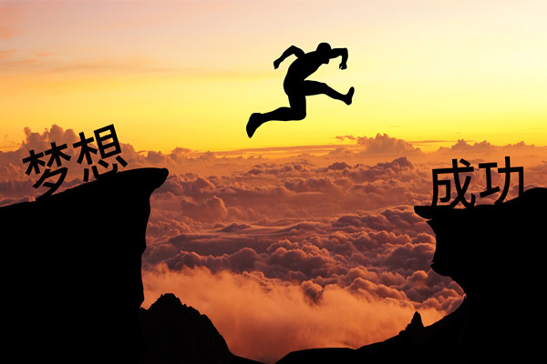 績效管理：應(yīng)對變革挑戰(zhàn)，推動組織變革成功