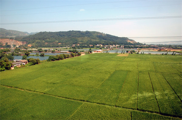 管理咨詢如何助力清遠企業解決發展難題？