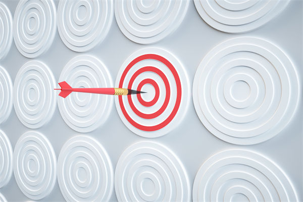 集團戰略如何通過有效管控，確保落地執行到位？