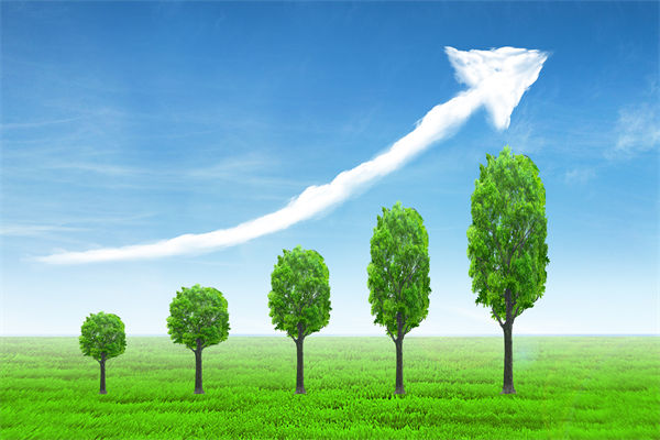 植樹就是植未來,對企業的戰略規劃有哪些啟示? 植樹就是植未來,對企業的戰略規劃有哪些啟示?