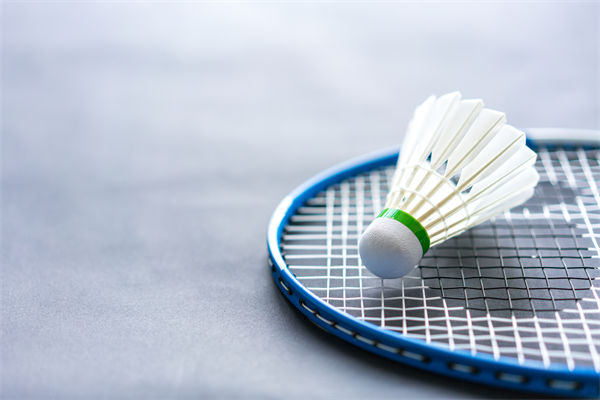 從營銷方面分析羽毛球價(jià)格2年上漲100%比黃金還猛 從營銷方面分析羽毛球價(jià)格2年上漲100%比黃金還猛