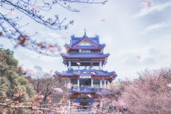 供應鏈成本居高不下，無錫供應鏈咨詢公司如何精準砍出利潤空間？