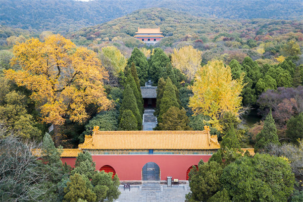 集團與子公司管控失衡，南京集團管控咨詢公司如何重塑協同體系？